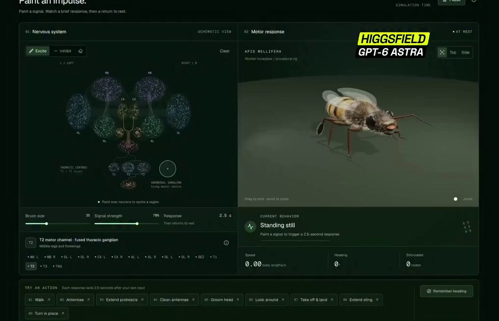 Pannello interattivo del sistema nervoso di un organismo 3D